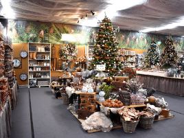 Tuincentrum De Driesprong