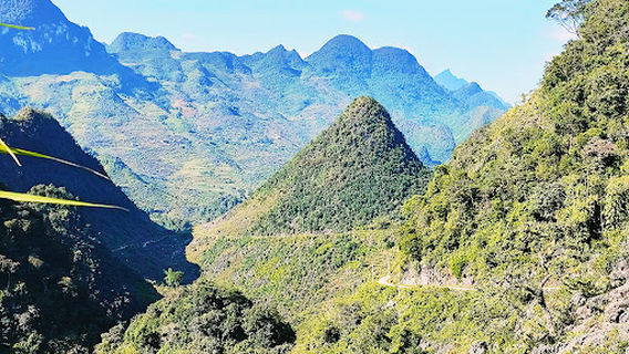 Dragon Home Dragon Ecotourism Co .LTD