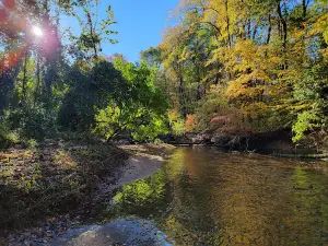 Salmon Brook Park