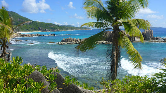Anse Marron