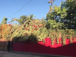 Community Garden