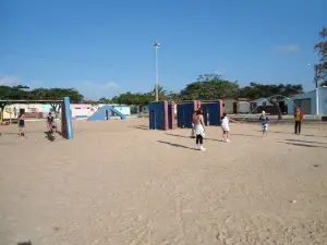 Park Of Flamboyantes