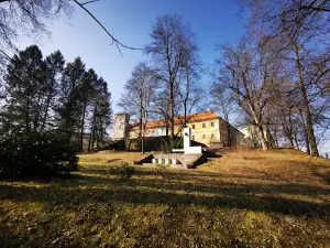 Park Štefana Moysesa