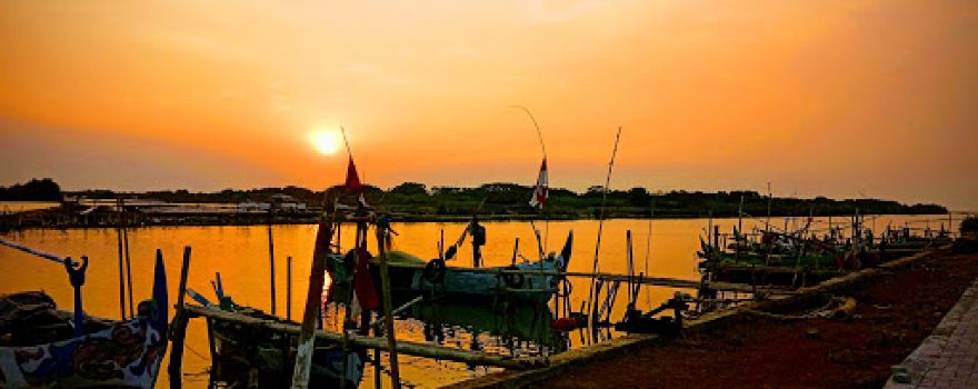 Mangrove Tour SIBAT
