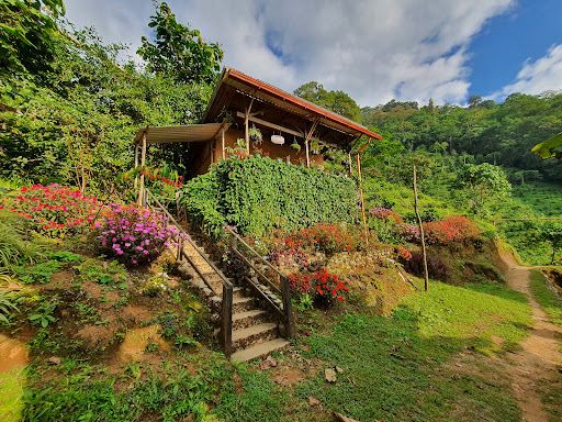 EL VERGEL Natural Reserve and Bird Friendly Coffee Plantation