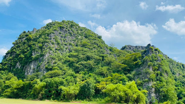 Milestone 0 HCM Trail