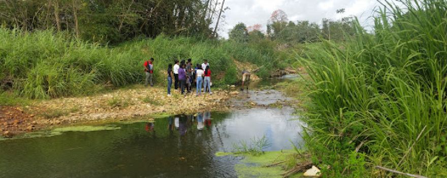 Turtle Village Trust
