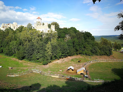 Zamkowa zagroda mini zoo
