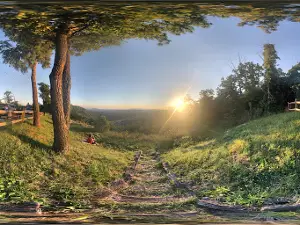 Log Roll Overlook