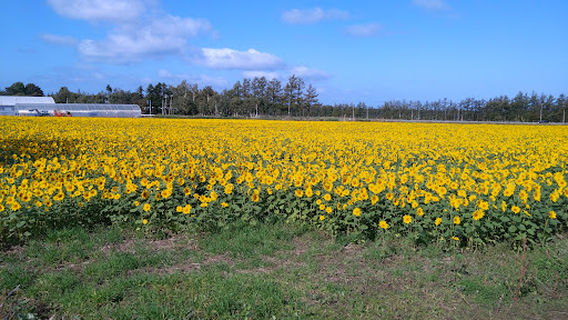 天に続く道スタート地点