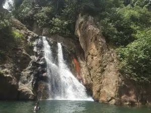 Dolok Bunga Sirandorung