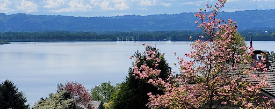 Vancouver Lake Lookout