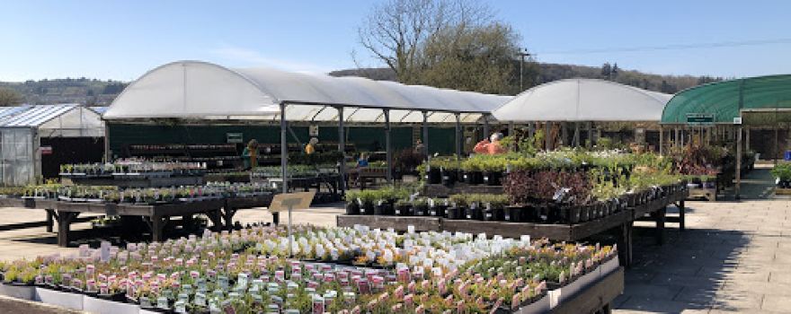 Newmans Garden Centre
