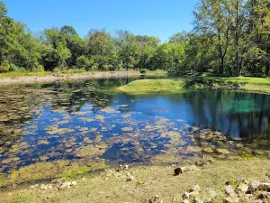 Markham Spring Recreation Area