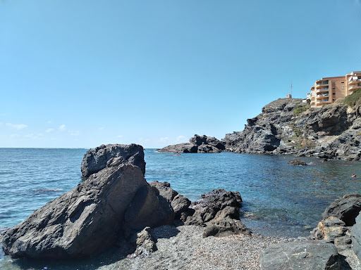 CALA FLORES