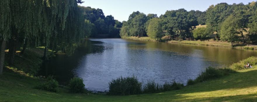 Parc Saint Aubin d'Aubigné