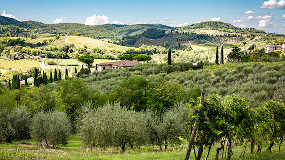 San Gimignano