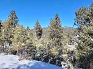 Reynolds Park Campground Access