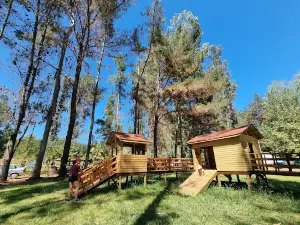 Camping Sol y Sombra