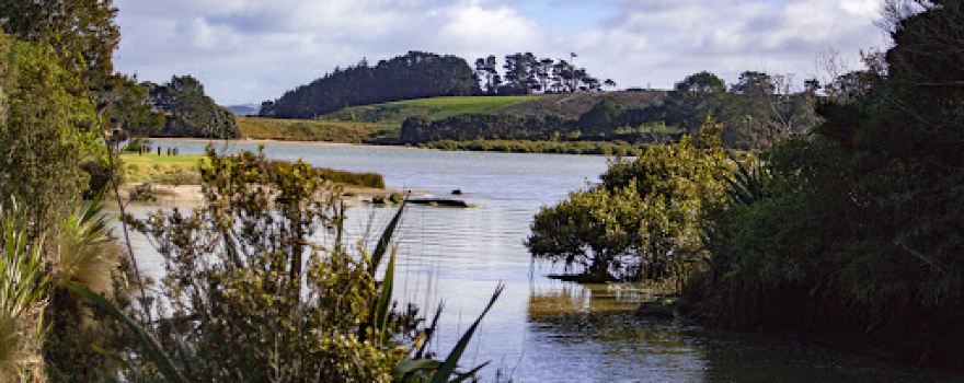 Waiau Pa Reserve