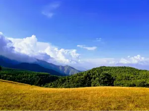 Çardak Yaylası