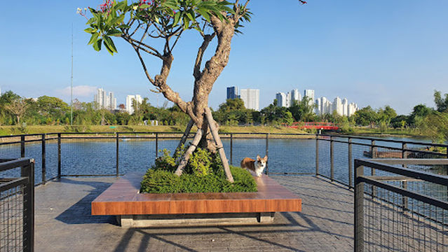 Dream Lake Graha Natura