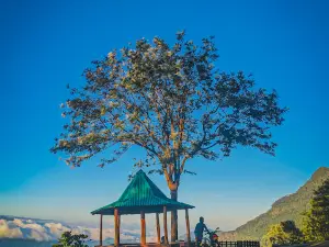 Balangoda Viewpoint