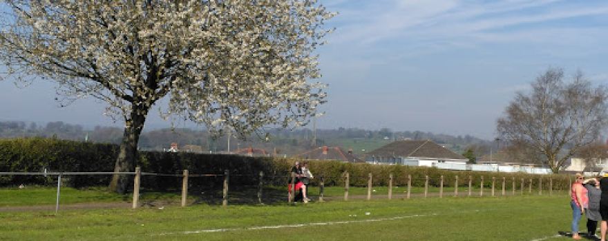 Oakdale Rugby pitch