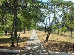 Park Vidpochynku