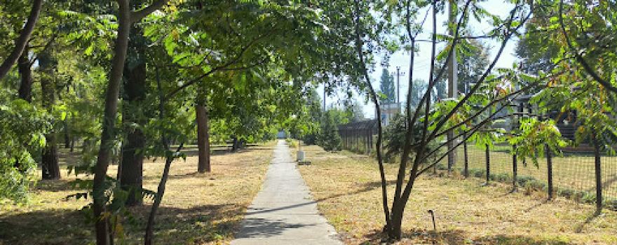 Park Vidpochynku