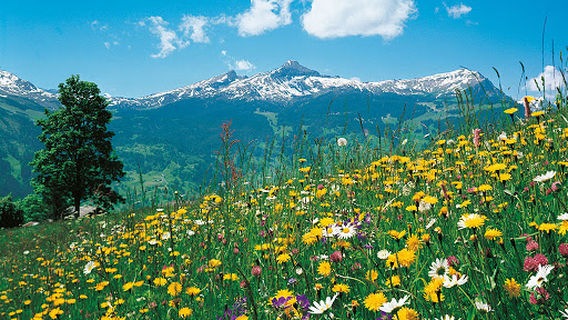 Unterseen