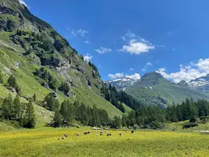 Innergschlöß