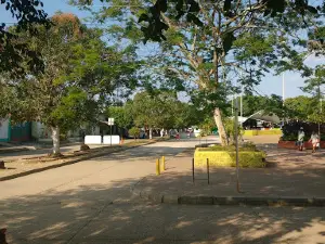 Central Park