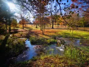 Springbrook Park