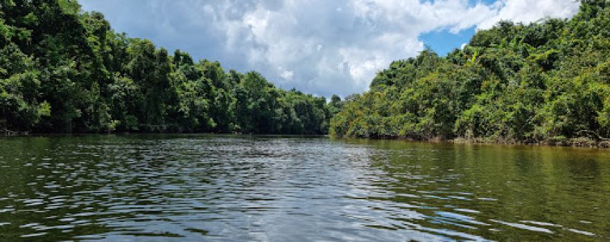 Botum Sakor National Park