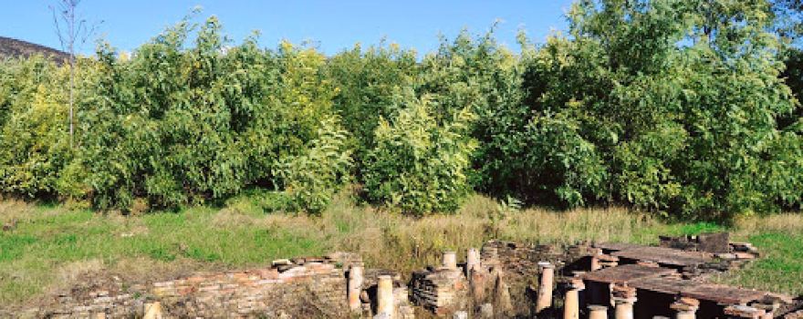 Dzalisa Archaeological Museum Reserve