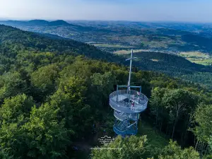 Wieża widokowa Jaworze 882 m n.p.m.