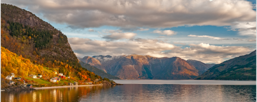 Skjervet