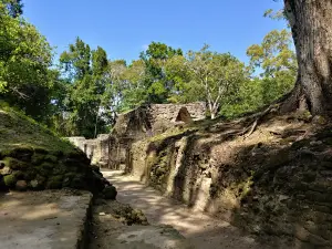 Cahal Pech Archaeological Reserve Museum and Ticket Booth