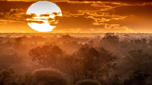 Olifants River Game Reserve