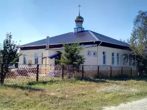 Dom Miloserdiya "Viktoriya"