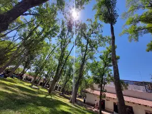 Club Deportivo UDG