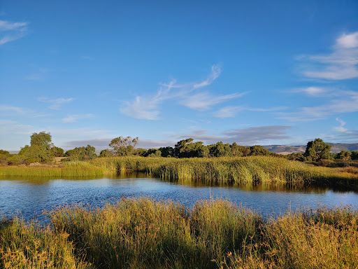 Hart Road Wetland