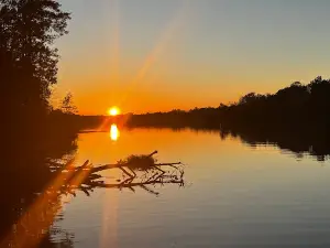 Millers Ferry Campground