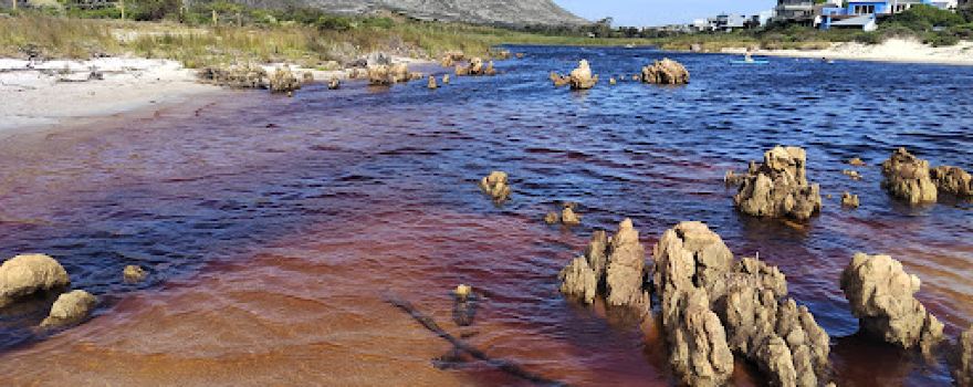 Pringle Bay Lagoon