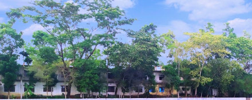D.M.H.S Filed