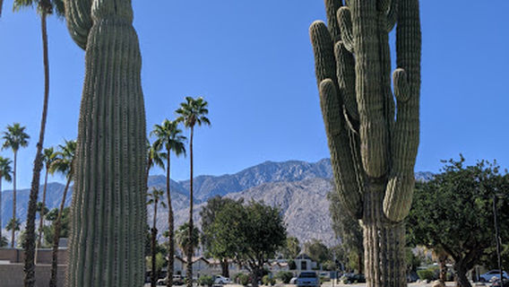David H. Ready Palm Springs Dog Park