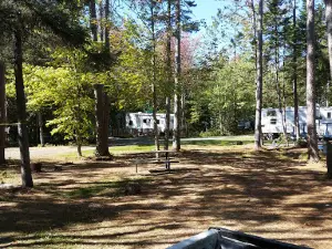 Lake George Family campground