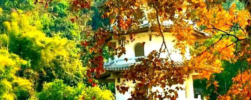 Emperor Garden