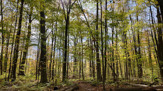 Заповедник Бойд